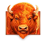 3 Charge Buffalo 2