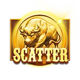 3 Charge Buffalo 2