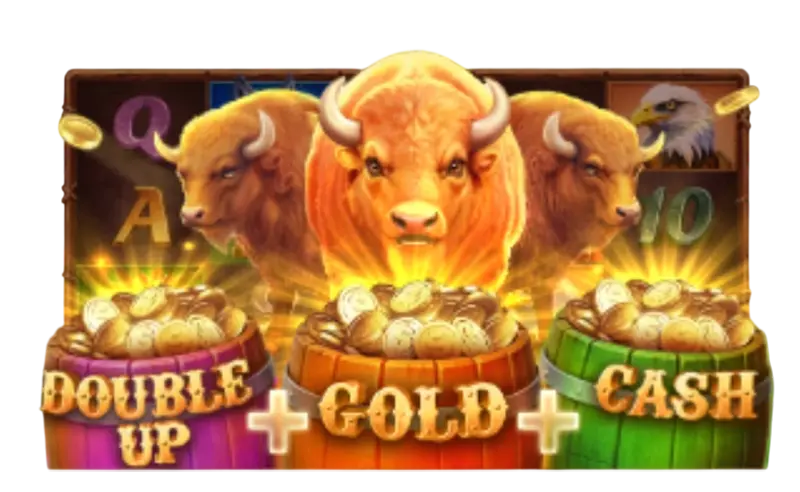 3 Charge Buffalo