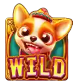 ชิลีฮัวฮัว Chili HuaHua thep1688 เทพ1688