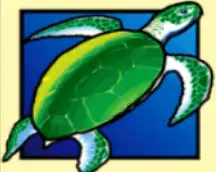 DOLPHIN TREASURE joker123 jokergaming โจ๊กเกอร์123