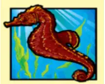 DOLPHIN TREASURE joker123 jokergaming โจ๊กเกอร์123