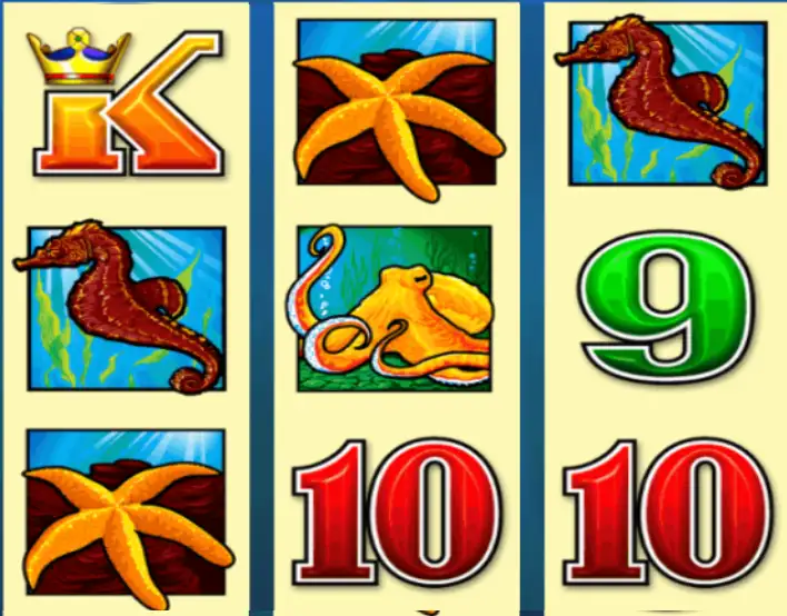 DOLPHIN TREASURE joker123 jokergaming โจ๊กเกอร์123