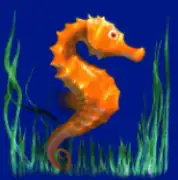 DOLPHINS PEARL DELUXE joker123 jokergaming โจ๊กเกอร์123