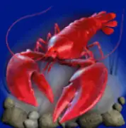 DOLPHINS PEARL DELUXE joker123 jokergaming โจ๊กเกอร์123