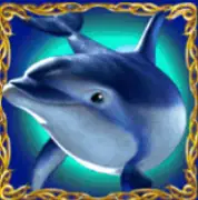 DOLPHINS PEARL DELUXE joker123 jokergaming โจ๊กเกอร์123