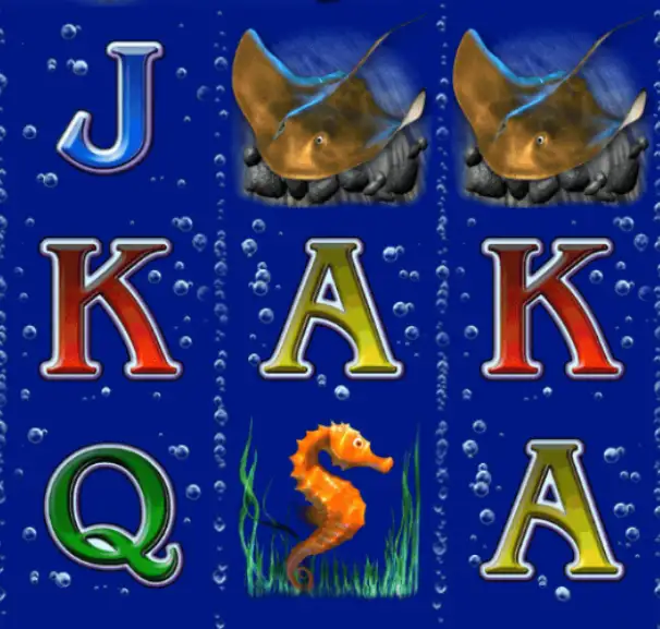 DOLPHINS PEARL DELUXE joker123 jokergaming โจ๊กเกอร์123