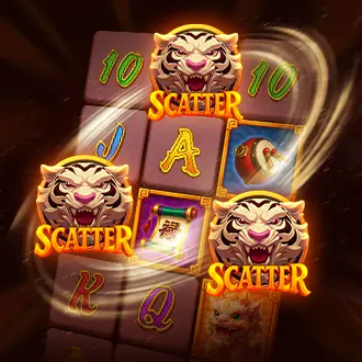 DRAGON TIGER SHOWDOWN สัญลักษณ์