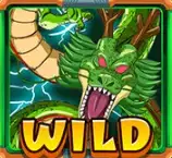 DRAGONBALL-wild