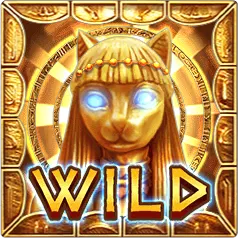Egypt Oracle ออราเคิลอียิปต์