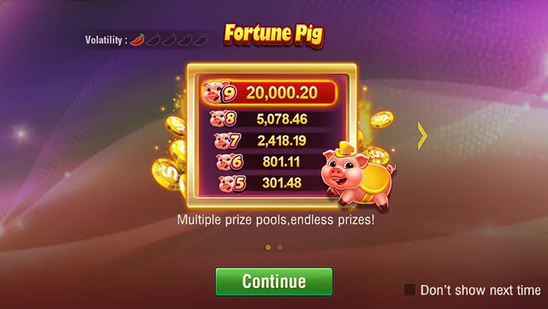 Fortune Pig