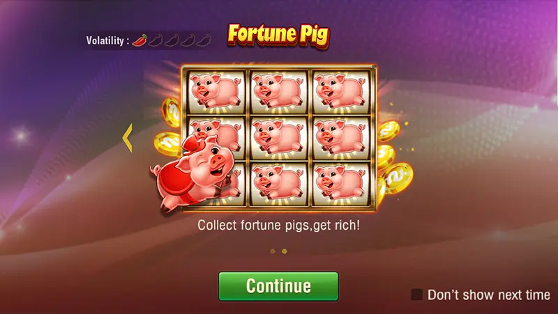 Fortune Pig
