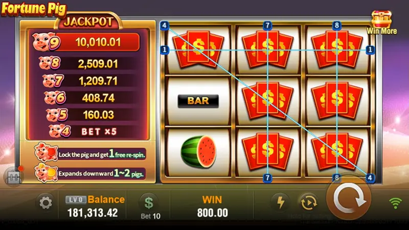 Fortune Pig