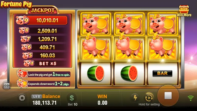 Fortune Pig