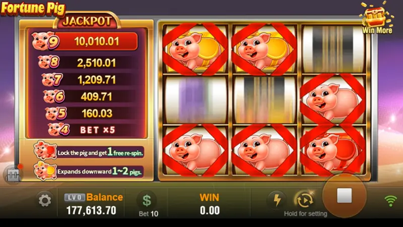 Fortune Pig