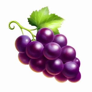 รูปแบบเกม