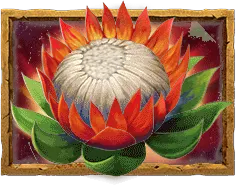 Great Lion สิงโตผู้ยิ่งใหญ่