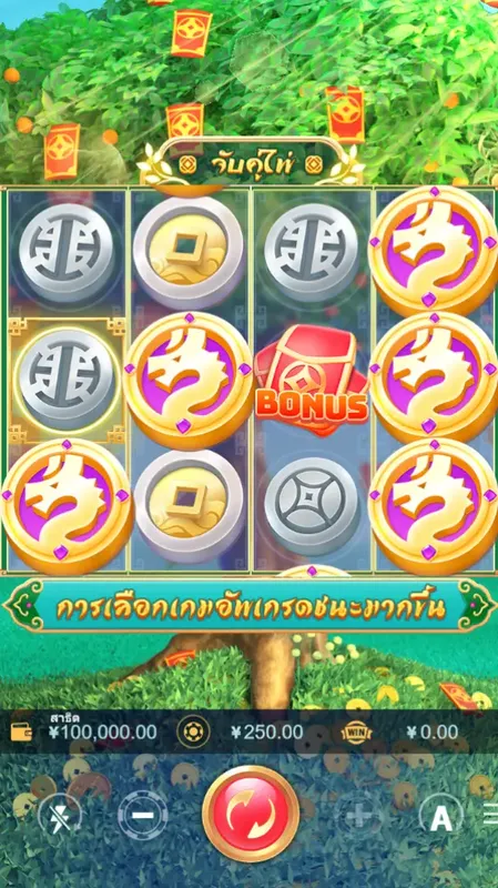 MONEY TREE สล็อต