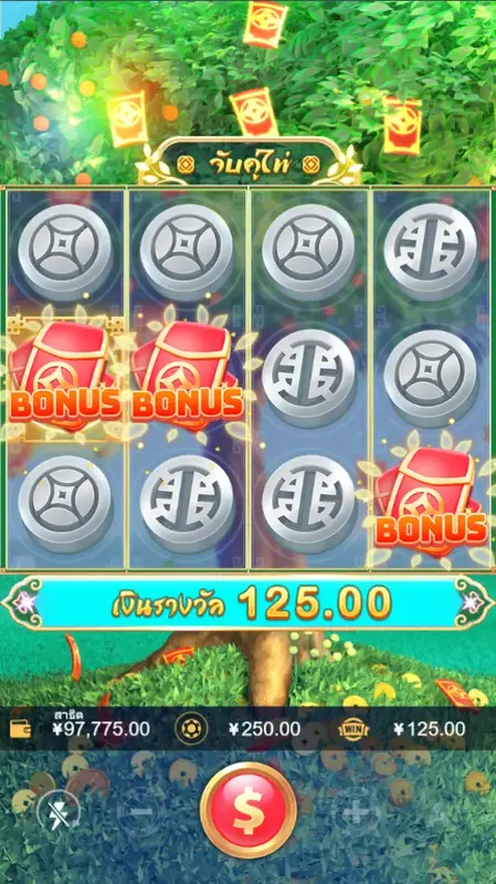 MONEY TREE สล็อต
