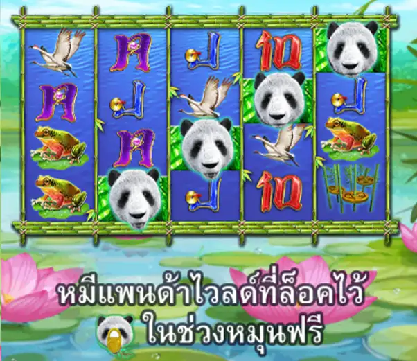 WILD GIANT PANDA joker123 jokergaming โจ๊กเกอร์123