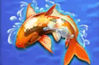 WILD GIANT PANDA joker123 jokergaming โจ๊กเกอร์123