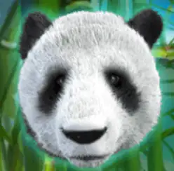 WILD GIANT PANDA joker123 jokergaming โจ๊กเกอร์123