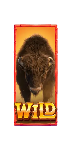 Buffalo Win
