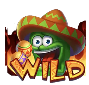 FLAMING CHILLIES เทพ1688 thep1688