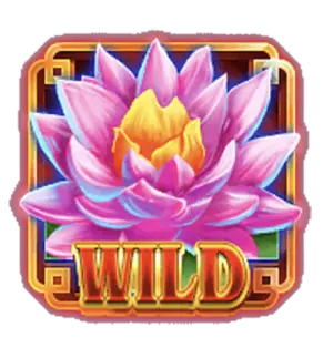 fortune dragon เทพ1688 thep1688