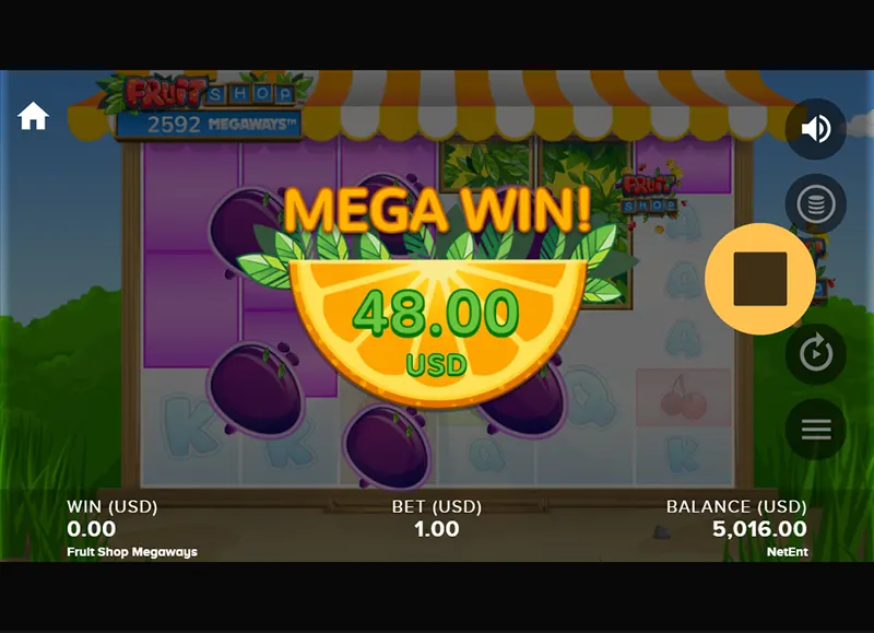 Fruit Shop Megaways