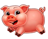 Fortune Pig