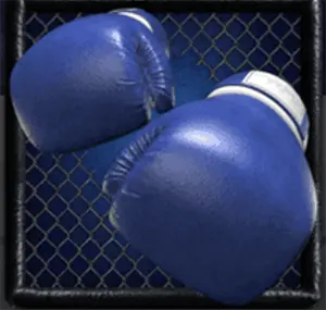 Cage Fight เทพ1688 thep1688