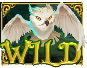 ENCHANTED FOREST-JOKER GAMING-JOKER123-โจ๊กเกอร์เกมมิ่ง