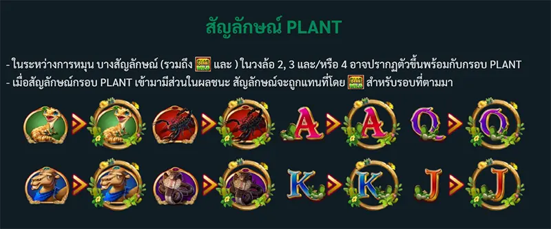 Oasis-JOKER GAMING-JOKER123-โจ๊กเกอร์สล็อต-THEP1688