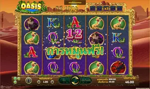 Oasis-JOKER GAMING-JOKER123-โจ๊กเกอร์สล็อต-THEP1688