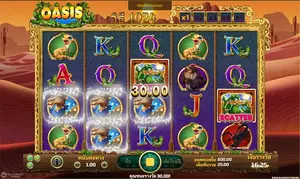 Oasis-JOKER GAMING-JOKER123-โจ๊กเกอร์สล็อต-THEP1688