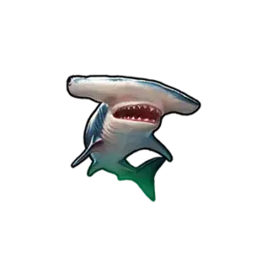 Shark Hunter