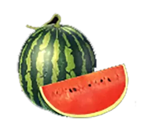 Tropical Crush-JOKER GAMING-JOKER SLOT-JOKER123-โจ๊กเกอร์-THEP1688