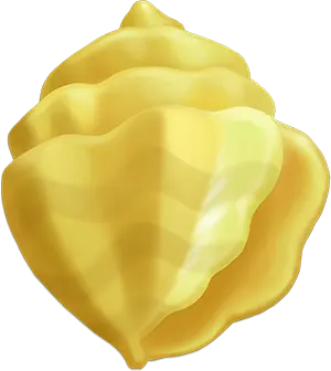 Reef Raider