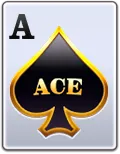 WILD ACE