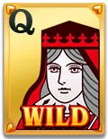 WILD ACE