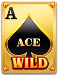 WILD ACE