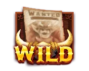 Bonus Hunter