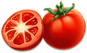 สล็อตอัญมณีแห่งดวงอาทิตย์ จากค่าย Evoplay