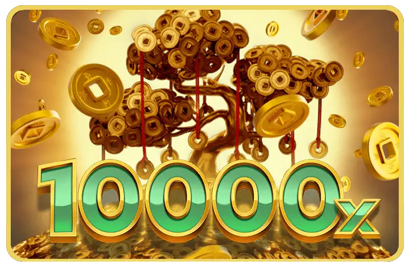 Bonsai Dragon Blitz Dream Drop เทพ1688 thep1688