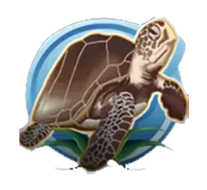 Dolphin Reef-JOKER GAMING-JOKER123-JOKERSLOT-THEP1688-โจ๊กเกอร์สล็อต-โจ๊กเกอร์เกมมิ่ง