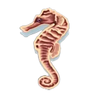 Dolphin Reef-JOKER GAMING-JOKER123-JOKERSLOT-THEP1688-โจ๊กเกอร์สล็อต-โจ๊กเกอร์เกมมิ่ง