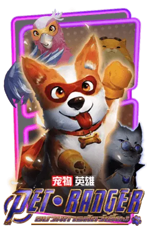 PET RANGER