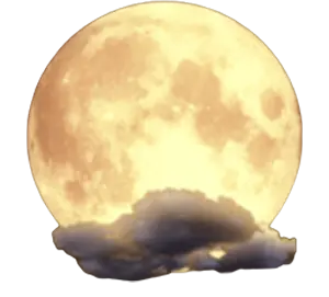 The Guard thep1688 เทพ1688 SIMPLEPLAY