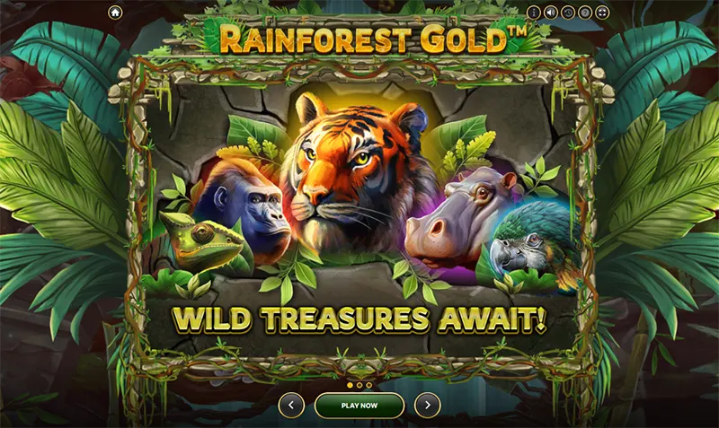 Rainforest Gold